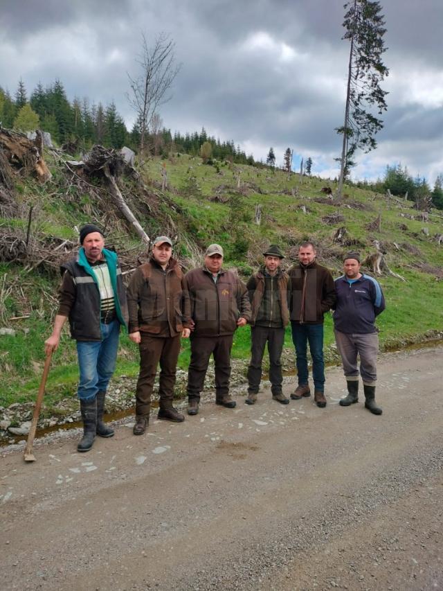 Elevi și profesori de la Colegiul Alimentar au plantat 500 de puieți de molid la Pojorâta