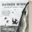 „Drumul de sare”