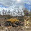 Primăria Vatra Moldoviței a igienizat terenurile folosite pentru depozitarea ilegală a deșeurilor