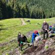 2200 de puieți de molid au fost plantați la OS Cârlibaba, cu elevi, ajutați de silvicultori