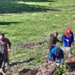 2200 de puieți de molid au fost plantați la OS Cârlibaba, cu elevi, ajutați de silvicultori
