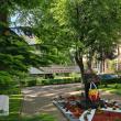 Zilele Colegiului Național de Informatică „Spiru Haret” Suceava - debutul manifestărilor