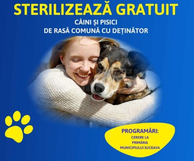 Campanie de sterilizări gratuite pentru 700 de animale de companie, în municipiul Suceava