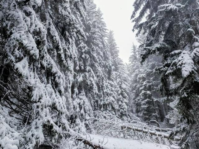 Condiții de iarnă extremă întâmpinate de un alergător montan care a parcurs în aceeași zi Rarăul, Giumalăul și Pietrosul Bistriței