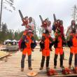 Colegiul Silvic Bucovina