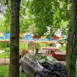 O maşină scăpată de sub control s-a oprit într-un copac din Parcul Central Rădăuţi
