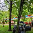 O maşină scăpată de sub control s-a oprit într-un copac din Parcul Central Rădăuţi