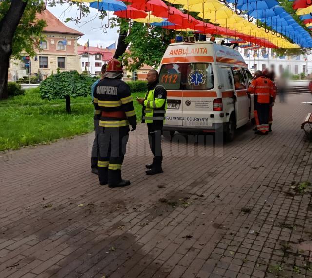 O maşină scăpată de sub control s-a oprit într-un copac din Parcul Central Rădăuţi