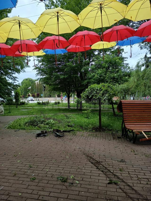 O maşină scăpată de sub control s-a oprit într-un copac din Parcul Central Rădăuţi