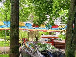 O maşină scăpată de sub control s-a oprit într-un copac din Parcul Central Rădăuţi
