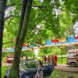 O maşină scăpată de sub control s-a oprit într-un copac din Parcul Central Rădăuţi