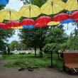 O maşină scăpată de sub control s-a oprit într-un copac din Parcul Central Rădăuţi