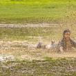 Copii de la zece cluburi din țară și din Republica Moldova au jucat rugby la Gura Humorului