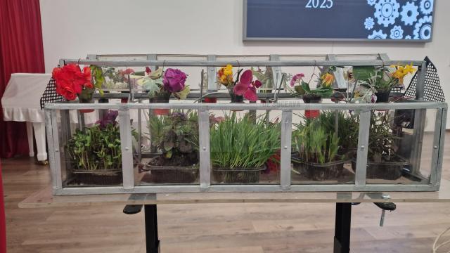 Concursul „Meseriașii”, de la Dumbrăveni