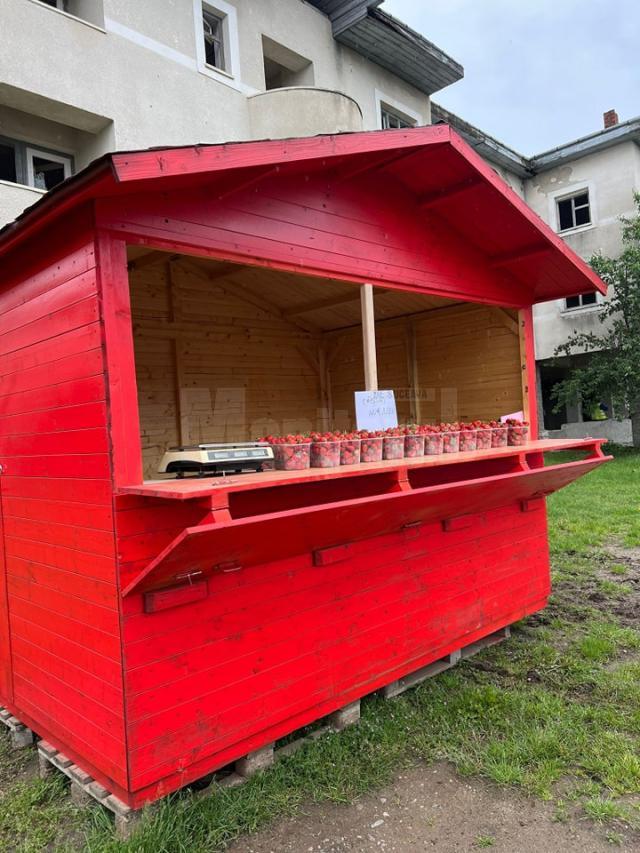 Căpșunile de Hurjuieni, la vânzare în aceste zile