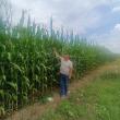 Mihai Flutur este unul din fermierii care a apelat la dronele agricole pentru a aplica tratamente fitosanitare culturilor
