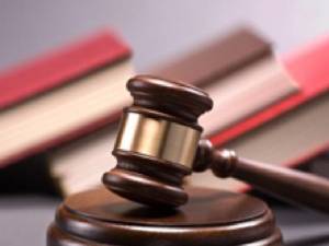 Două condamnări importante, cu executare, pentru tăiere ilegală și furt de arbori