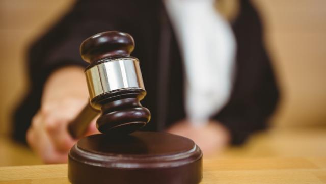 Două condamnări importante, cu executare, pentru tăiere ilegală și furt de arbori. Foto Shutterstock