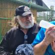 Medicul veterinar Gabriel Gașpar și Dorin Șoimaru hrănesc puiul de ligru cu biberonul