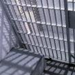 Doi minori care au furat o sumă mare de bani dintr-o mașină au fost prinși de polițiști și reținuți în arest