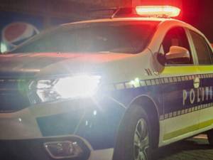 A intrat cu mașina într-o căprioară, nu departe de ieșirea din municipiul Suceava