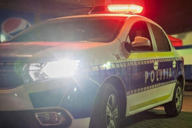 A intrat cu mașina într-o căprioară, nu departe de ieșirea din municipiul Suceava