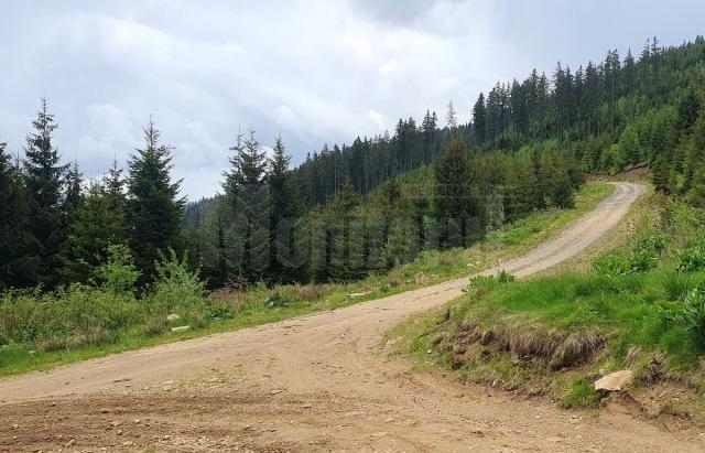 Drum de pământ (foto generic)
