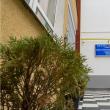 Școala Postliceală Sanitară de Stat Suceava