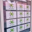 Protecția Consumatorilor este decisă să închidă firma de modelling reclamată că ...