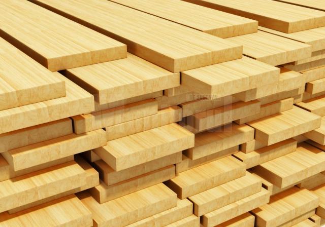 Afaceri cu cherestea, inclusiv cu persoane decedate, derulate de două firme cu sediul în Suceava