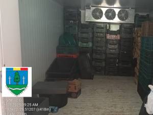 Amenzi de 360.000 de lei și suspendarea activității pentru șase firme de colectare și prelucrare a ciupercilor comestibile