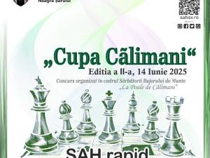 „Cupa Călimani” la șah rapid, ediția a II-a