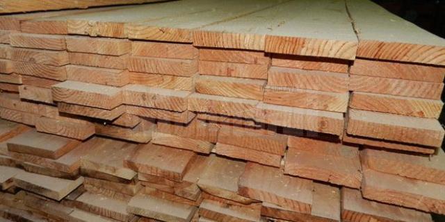 Afaceri cu cherestea, inclusiv cu persoane decedate, derulate de două firme cu sediul în Suceava