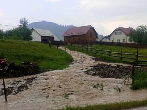 Ploile torențiale de astăzi au inundat o casă, două curți și un beci din comuna Dorna Candrenilor