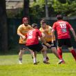 Consiliul Județean Suceava se va implica financiar, în premieră, în susținerea echipelor de rugby din județ