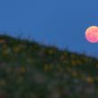Luna Căpșună, un fenomen astronomic inedit, foarte spectaculos, va atinge apogeul miercuri, 11 iunie - foto Constantin Rotar