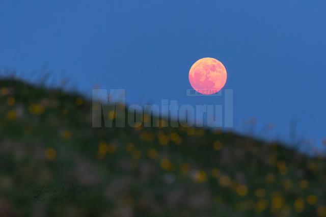Luna Căpșună, un fenomen astronomic inedit, foarte spectaculos, va atinge apogeul miercuri, 11 iunie - foto Constantin Rotar