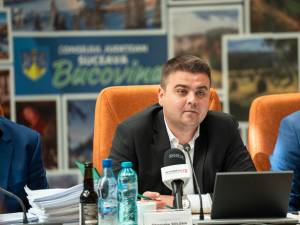Președinte Consiliului Județean Suceava, Gheorghe Șoldan