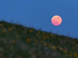 Luna Căpșună, un fenomen astronomic inedit, foarte spectaculos - foto Constantin Rotar