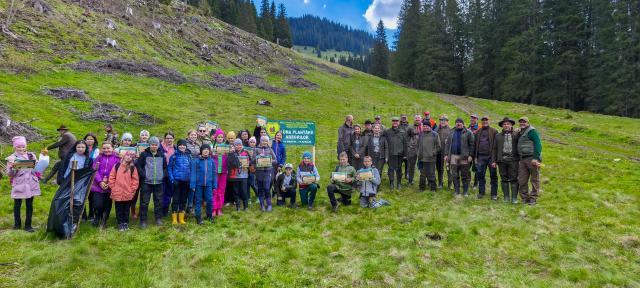 5 milioane de puieți de arbori, produși în pepinierele Direcției Silvice Suceava, plantați în campania de împădurire de primăvară