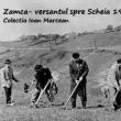 Acțiunea de împădurire a dealului Zamca - versantul spre Șcheia, organizată în anul 1958 de către salariați, când s-a întemeiat actuala pădure Zamca