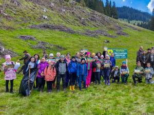 5 milioane de puieți de arbori, produși în pepinierele Direcției Silvice Suceava, plantați în campania de împădurire de primăvară