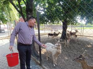 Mihai Flutur în timp ce hrănește cerbii lopătari