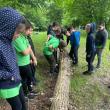 Elevi de la Şcoala Gimnazială Pârteştii de Sus, „silvicultori pentru o zi”