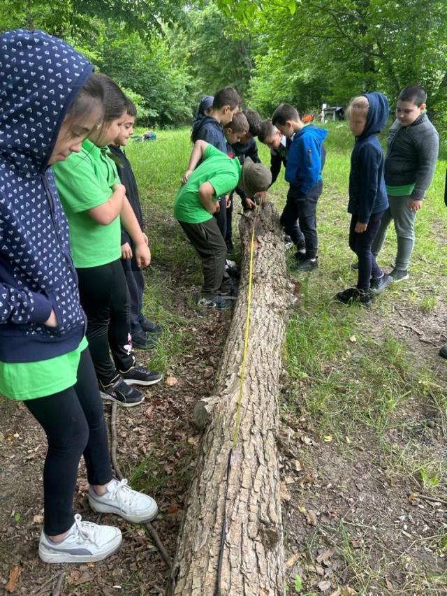 Elevi de la Şcoala Gimnazială Pârteştii de Sus, „silvicultori pentru o zi”