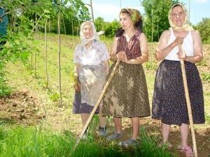 Presa veche 25 mai cu foto ÎNGRIJIREA CULTURILOR (2)