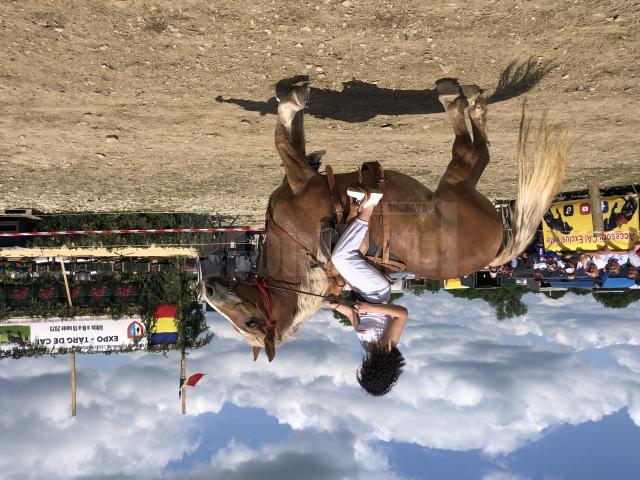 Peste 150 de cai au participat la concursul de frumusețe organizat în cadrul Târgului de la Marginea