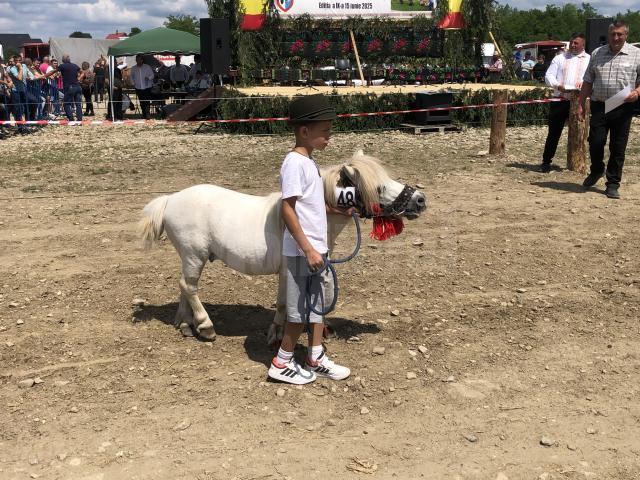 Peste 150 de cai au participat la concursul de frumusețe organizat în cadrul Târgului de la Marginea