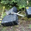 Colete cu țigări în valoare de peste 150.000 de lei, abandonate de contrabandiștii interceptați de polițiștii de frontieră