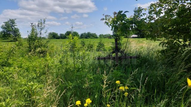 Cimitirul copiilor orfani din Siret